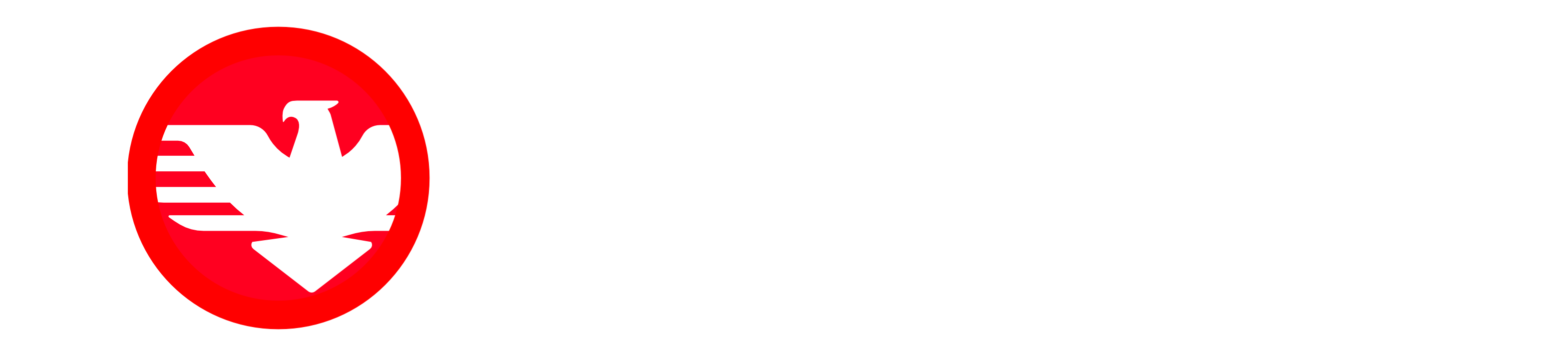 Solution Guincho Logo